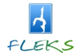 Logo Fleks